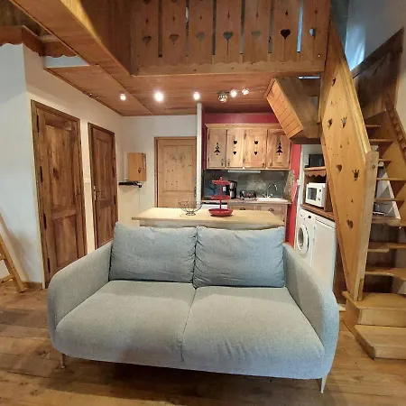 Duplex Montagne Aux Deux Alpes Avec Sauna Et Wifi Appartamento *