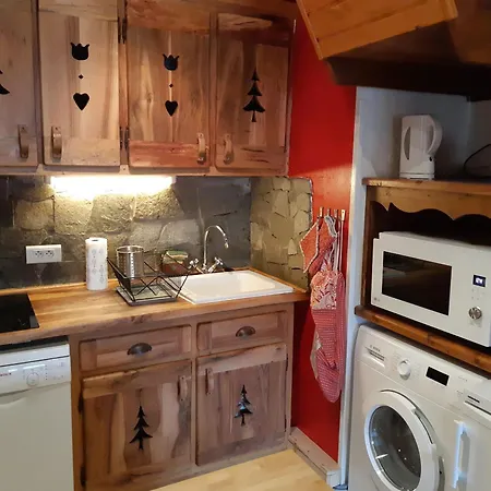 Duplex Montagne Aux Deux Alpes Avec Sauna Et Wifi Les Deux Alpes