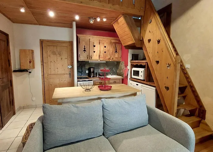 Duplex Montagne Aux Deux Alpes Avec Sauna Et Wifi - Fr-1-516-147 Les Deux Alpes