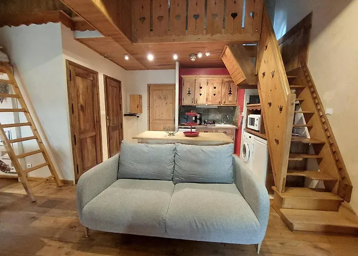 Duplex Montagne Aux Deux Alpes Avec Sauna Et Wifi - Fr-1-516-147 Lägenhet *