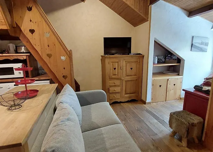 Duplex Montagne Aux Deux Alpes Avec Sauna Et Wifi - Fr-1-516-147 Lägenhet Les Deux Alpes