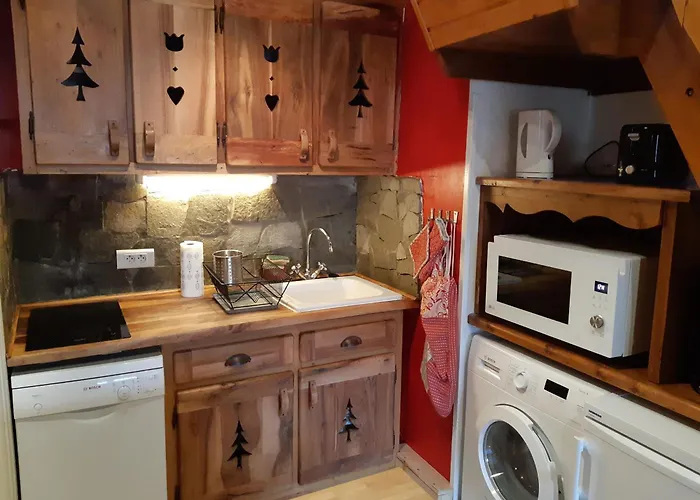 Duplex Montagne Aux Deux Alpes Avec Sauna Et Wifi - Fr-1-516-147 Les Deux Alpes